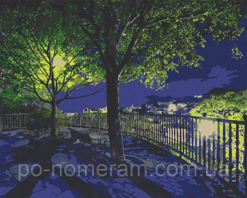 Акційна Картини за номерами ArtCraft Нічний парк (ACR-10585-AC) 40 х 50 см, фото 1