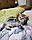 Кішечка шотландська прямоухая шиншила, народжена 20.08.2020 в розпліднику Royal Cats. Україна, Київ, фото 7