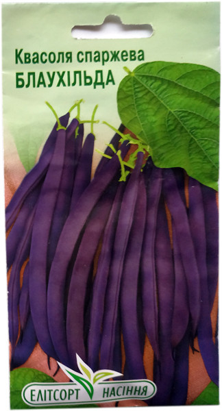 Насіння спаржевої квасолі Блаухільда 12 шт. пізньостигла, фото 1