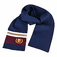 Комплект. Зимова шапка та шарф для хлопчика TuTu арт. 3-005825(44-48, 48-52), фото 2