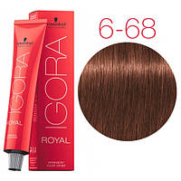 Фарба для волосся Schwarzkopf  Igora Royal 6-68 темний русявий шоколадний червоний — 60 мл
