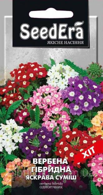 Вербена гібридна яскрава суміш SeedEra 0,2 г, фото 1