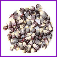 Кукуруза фиолетовая кукуруза зерна фиолетовой кукурузы пурпурная кукуруза 5 кг PL