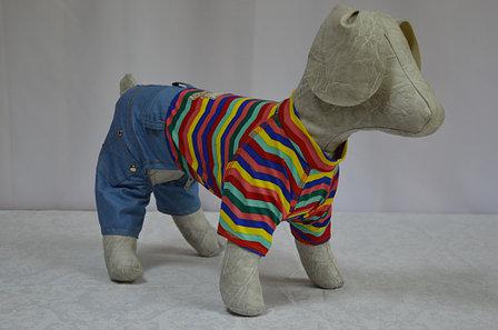 Комбинезон для Собаки Сюрприз — Купить Недорого на Bigl.ua (1542670306)