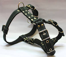 Шлея для собак "Ротвейлер" шкіряна