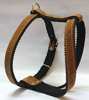 Шлея для собак Юніор