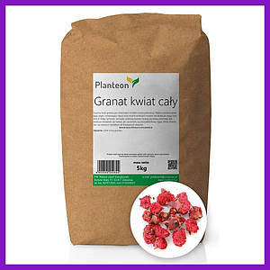 Квітки граната гранатові квітки сушені квітки граната цілі квітки граната 5 кг PL