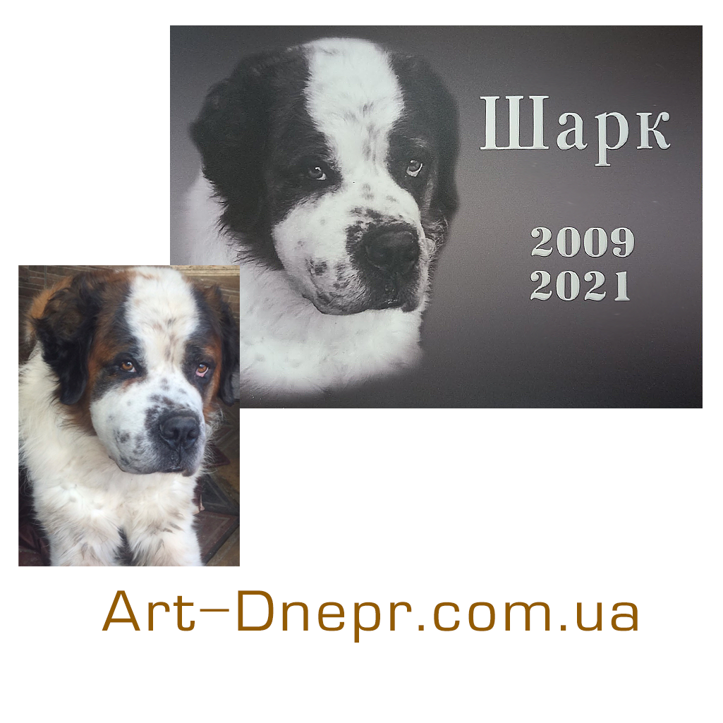 Табличка для тварин 200х300