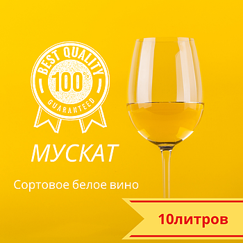 "Мускат святковий" виноградне біле напівсолодке столове ТМ Гросібенталь пак 10 л