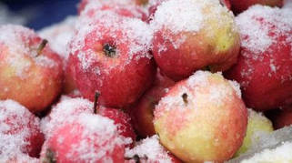 Яблуко заморожене
