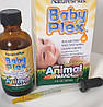 Вітаміни для немовлят і дітей Natures Plus Animal Parade Baby Plex 60 ml orange, фото 6