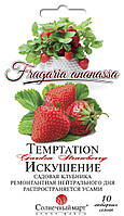 Полуниця Спокуса, 10шт