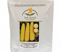 Семена кукурузы Добрыня F1 2500 сем. (Lark Seed)