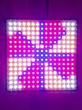 Фитолампа. 50 W 225 LED. Повний спектр (Фіто. Лампа для рослин. Мікрозелень. Зелень. Гроубокс) Soled.in.ua, фото 8
