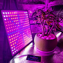 Фитолампа. 50 W 225 LED. Повний спектр (Фіто. Лампа для рослин. Мікрозелень. Зелень. Гроубокс) Soled.in.ua
