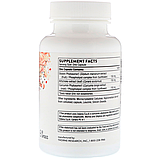 Підтримка печінки (S.A.T.), фото 2