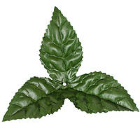 Листя для букетів