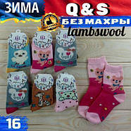 Зимові шкарпетки дитячі без махри вовняні волокна 16 р."Q&S" асорті НДЗ-07268, фото 5