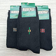 Шкарпетки чоловічі високі зимові з махрою р.39-42 чорні Житомир ГС 30033554, фото 2