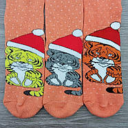 Шкарпетки жіночі махрові новорічні високі Тигр Grade1 23-25р, помаранчеві 30033357, фото 4