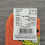 Шкарпетки жіночі махрові новорічні високі Тигр Grade1 23-25р, помаранчеві 30033357, фото 6