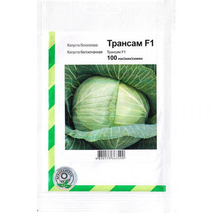Насіння капусти білоголової "Трансам" F1 (100 насінин) від Bejo, Голландія, фото 1