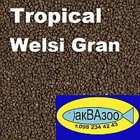 Корм для риб Tropical Welsi Gran 100 грамів