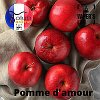 Ароматизатор Solub Arome "Pomme d'amour" Основы и аромки