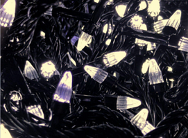 Гірлянда чорний провід "Конус" 100 колір тепло-білий 6м (К-100ТБ) 1/100