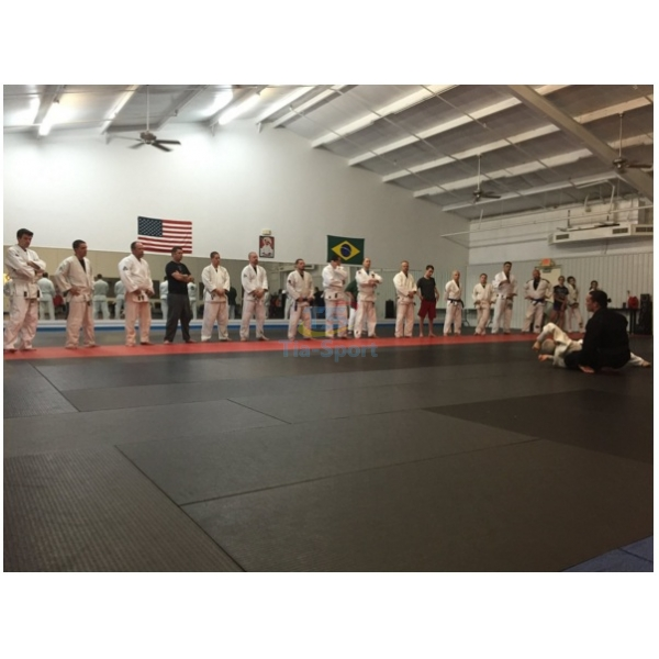 Татамі без накидки кв. м TIA-SPORT, фото 1