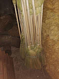 Віник мітла сорго Люкс Молдова прошивний з довгою дерев'яною ручкою для прибирання будинку і вулиці 136 см, фото 3