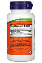 Екстракт кореня астрагалу Now Astragalus Extract 500 mg 90 veg caps, фото 5