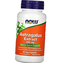 Екстракт кореня астрагалу Now Astragalus Extract 500 mg 90 veg caps, фото 4