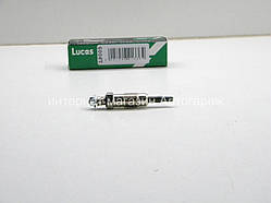 Свічка розжарення на Рено Майстер 1998-> 2.5 D/2.8 dTi — LUCAS (Німеччина) LP005