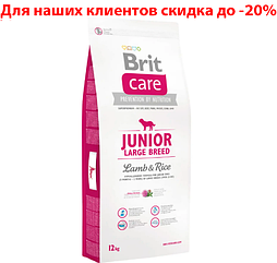 Сухий корм для цуценят і молодих собак великих порід Brit Care Junior Large Breed Lamb & Rice 12кг