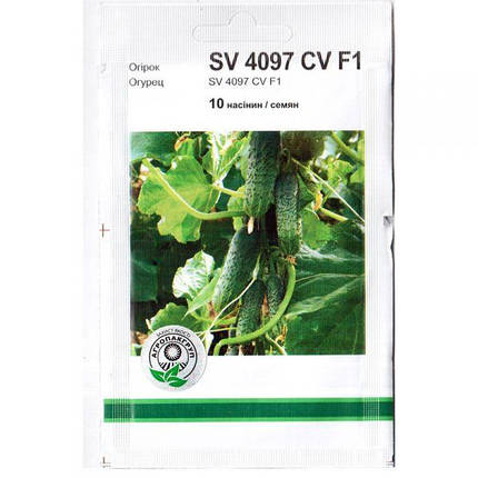 Насіння огірка самозапильного, раннього "SV 4097 CV" F1 (10 насінин) від Monsanto, Голландія, фото 1