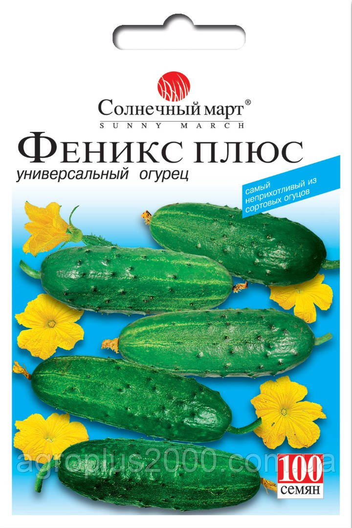Насіння Огірок бджолозапильний Фенікс Плюс 100 насінин Сонячний Березень