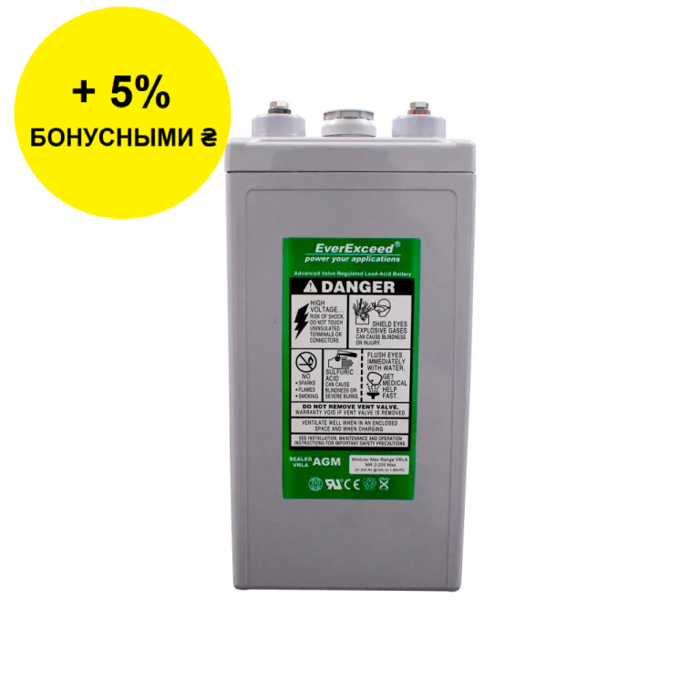 Акумулятор EverExceed MR 2-300 Max, фото 1