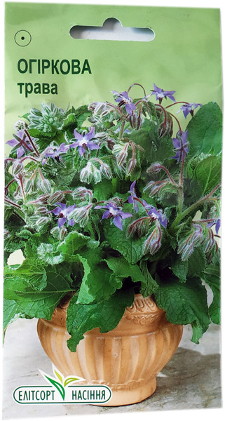 Насіння Огіркова трава 1 г, фото 1