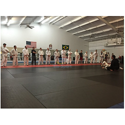 Татамі без накидки кв. м TIA-SPORT