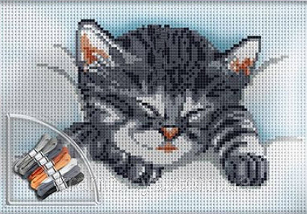 Вишивка хрестиком на канві Cross Stitch Сплячий кіт (VKB-01-04)