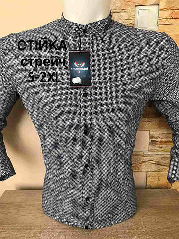 Приталена молодіжна сорочка Noseda стійка, фото 2