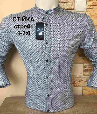 Приталена молодіжна сорочка Noseda стійка, фото 2