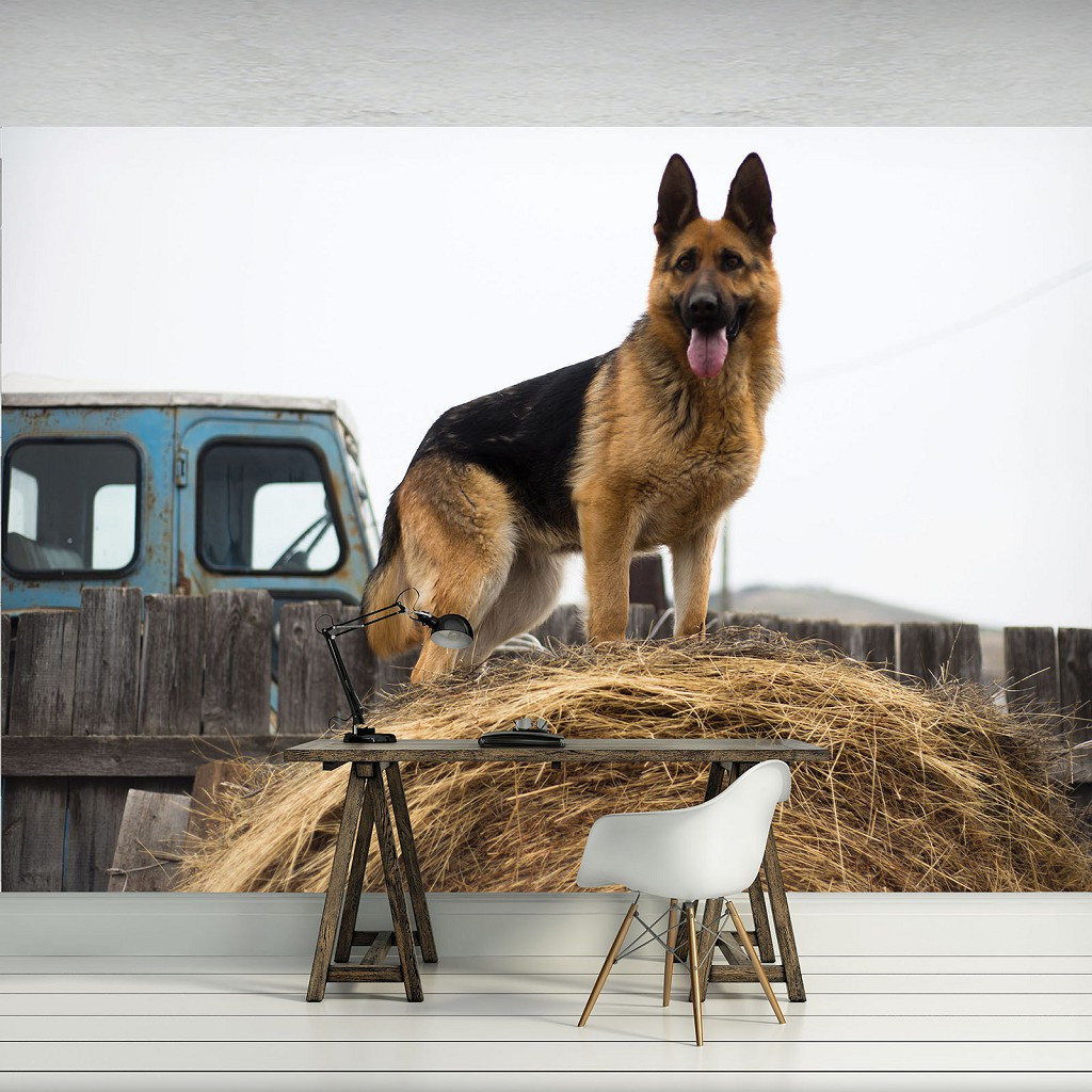 Красивая Природа Обои 254x184 См Собака (11373P4) — Купить Недорого на ...