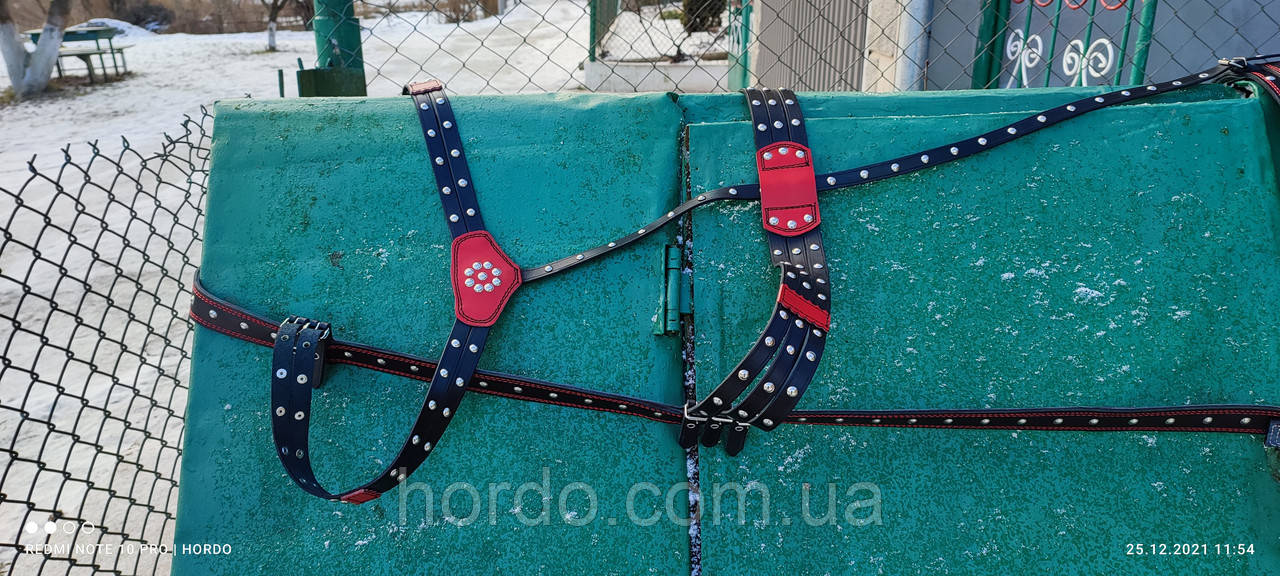 Все для коня, шлея і наритник в закльопках, фото 1
