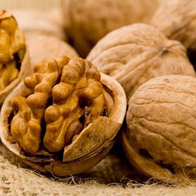 Саджанці Волоського горіха 3-х річний