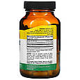 L-Тирозин Country Life "L-Амінокислоти Caps" 500 мг (100 капсул), фото 2