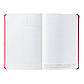 Планер для бізнесу та особистих справ Актив LifeFLUX А5 на рік Червоний металік російська мова, фото 6