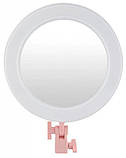 Кільцева LED лампа Ra-95 з дзеркалом (Діаметр 26 см) Без штативу, фото 5