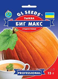 Насіння гарбуз Біг Макс 15 г GL Seeds, фото 1